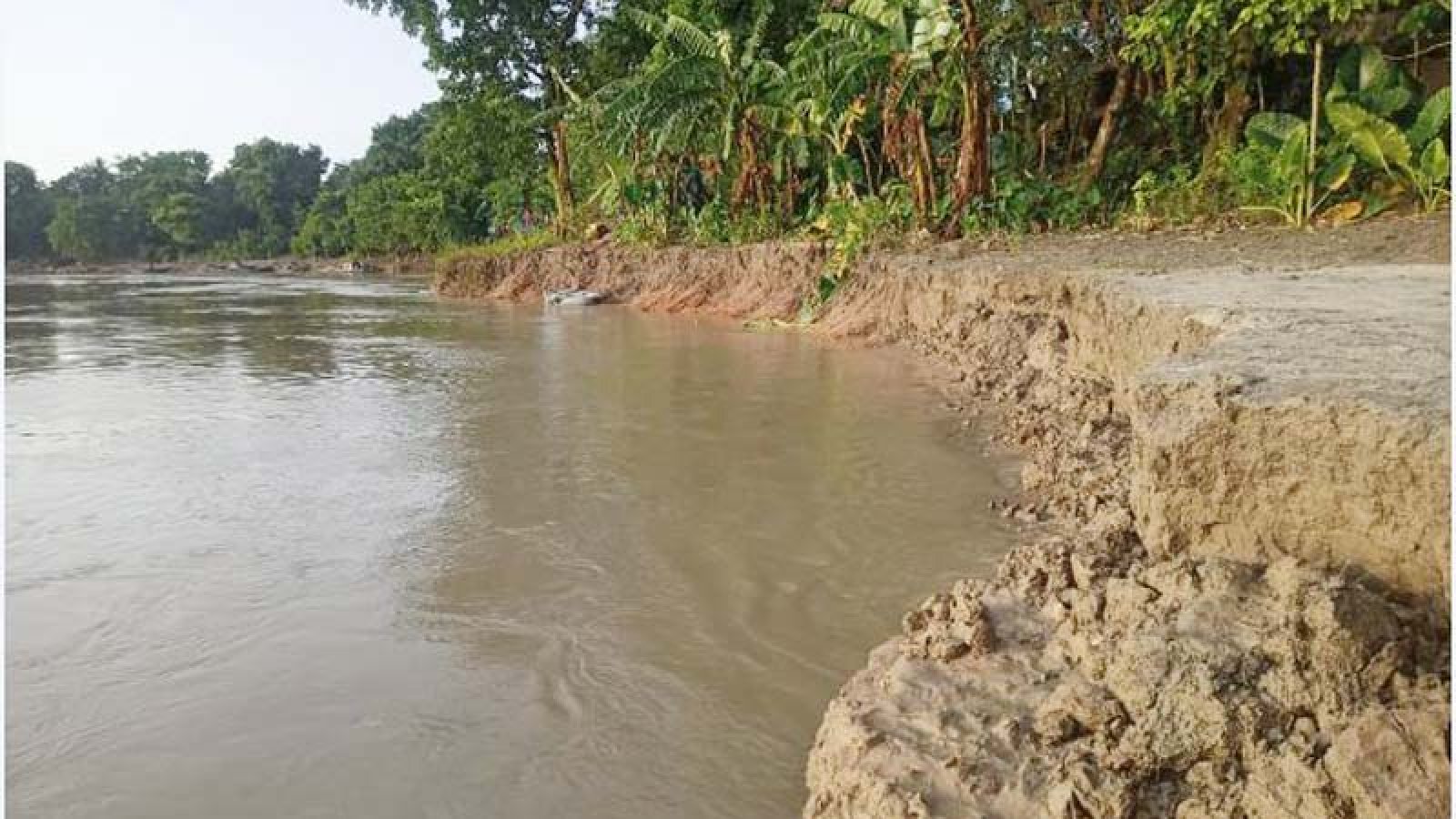 পদ্মার ভাঙনে বিলীন ঘরবাড়ি-ফসলি জমি, আতঙ্কে নদীপাড়ের মানুষ