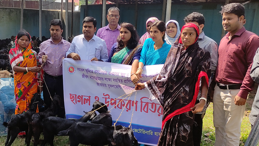 বদলগাছীতে ১৫০ জন আদবিাসী পরিবারে দুটি করে ৩শ টি ছাগল বিতরণ