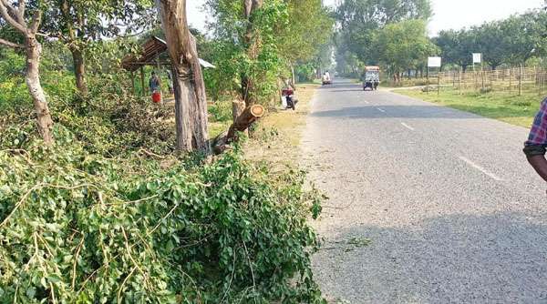 পোরশায় ১০কিমি সড়কে ডাকাতরা সরব, পুলিশ নিরব!