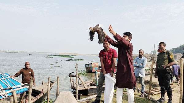 পোরশায় ইউএনও’র হস্তক্ষেপে নতুন জীবন ফিরে পেল ৩ জোড়া অতিথি পাখি