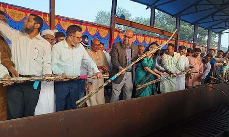 নাটোরে নর্থ বেঙ্গল চিনিকলের আখ মাড়াই কার্যক্রম শুরু