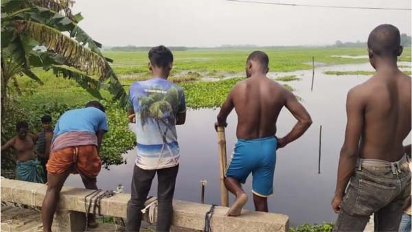 স্লুইস গেট বন্ধ রেখে অবৈধ সৌঁতিজালে মাছ শিকার নাটোরে ১৫ বিলের ৫ হাজার হেক্টর জমিতে ভয়াবহ জলাবদ্ধতা
