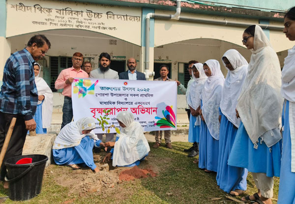 পোরশায় একযোগে ১১৪টি শিক্ষা প্রতিষ্ঠানে বৃক্ষ রোপণ