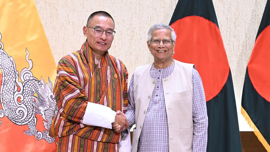 ভুটানে ওষুধ রফতানির প্রস্তাব বাংলাদেশের