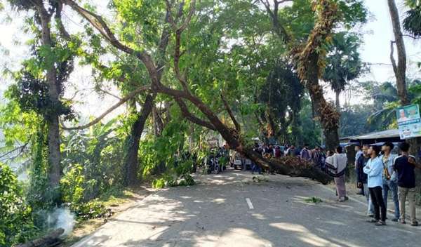ঢাকা-বরিশাল মহাসড়কে গাছ ফেলে অবরোধ