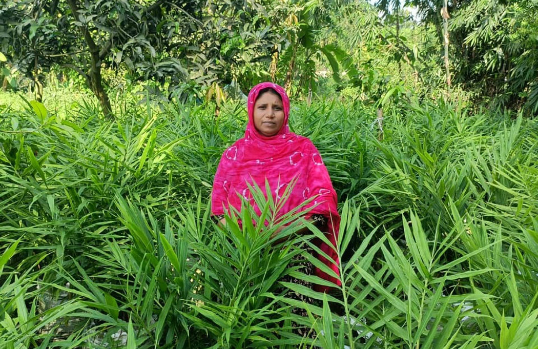 নারীরা করছেন চাষাবাদ,গ্রামের নাম ‘আদা গ্রাম’