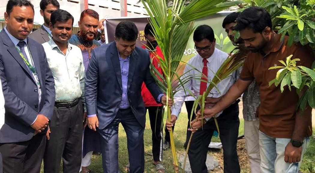 পুবালী ব্যাংক সাপাহার শাখার উদ্যোগে কলেজে বৃক্ষরোপন