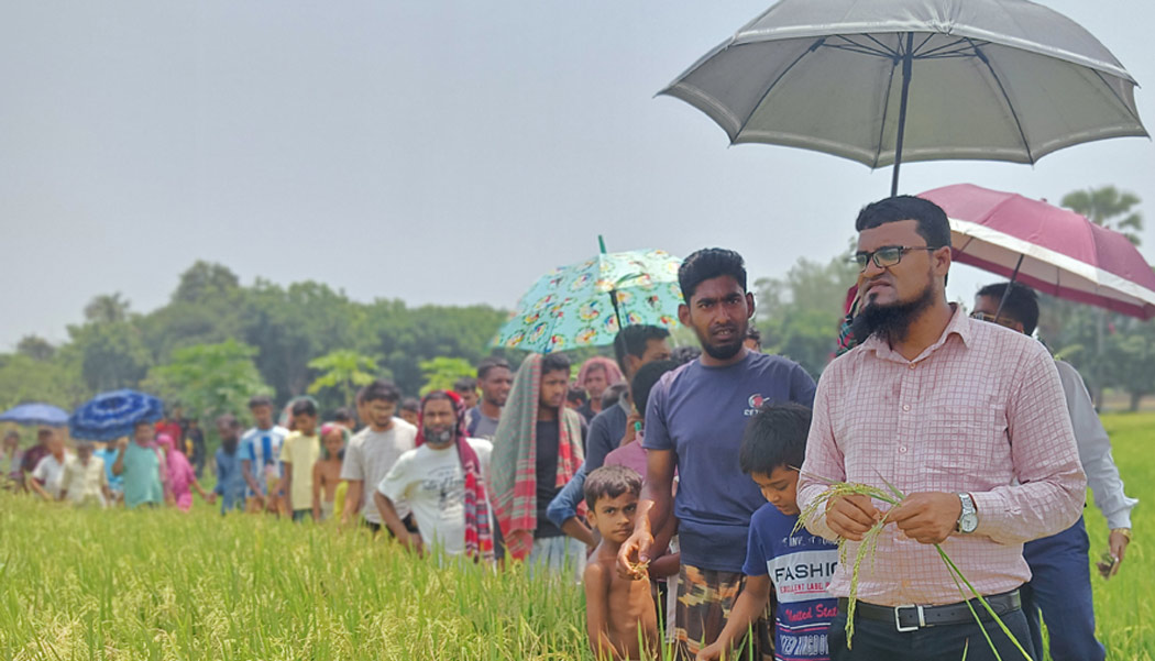 মোহনপুরে ফসলের মাঠে স্বস্তি