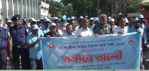 নাটোরে জাতীয় নিরাপদ সড়ক দিবস পালন