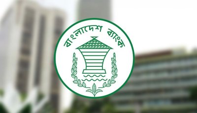 বৈদেশিক মুদ্রার রিজার্ভ বেড়ে ৩৫ বিলিয়ন ছাড়িয়েছে