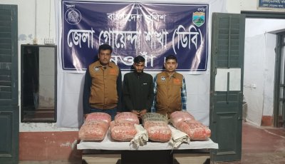 নওগাঁয় পুলিশের অভিযানে ৪২ কেজি গাঁজাসহ আটক ১,  পিকআপ জব্দ