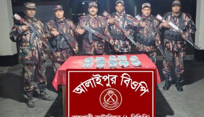 রাজশাহী’র সীমান্তে নিষিদ্ধ ও ক্ষতিকারক কীটনাশক জব্দ