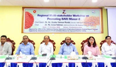রাজশাহীতে বারি মাসুর-৮ চাষ সম্প্রসারণে কৃষকদের উদ্বুদ্ধ করার আহ্বান