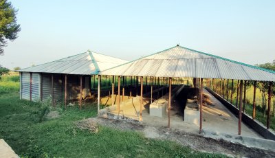 চরমপন্থীদের কোটি টাকার প্রকল্প এখন ‘ভূতের বাড়ি’