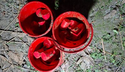 চাঁপাইনবাবগঞ্জে  ১৭টি ককটেল উদ্ধার