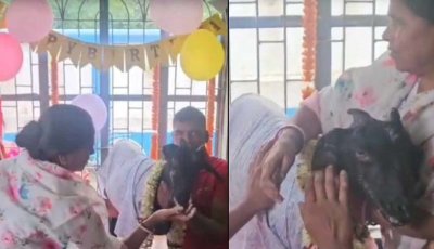 মহা ধূমধামে পোষ্য ছাগলের ২০তম জন্মদিন উদযাপন গৃহস্থের