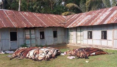 ‘ক্রেতা না পেয়ে’ পুঁতে ফেলা হল দেড় শতাধিক চামড়া