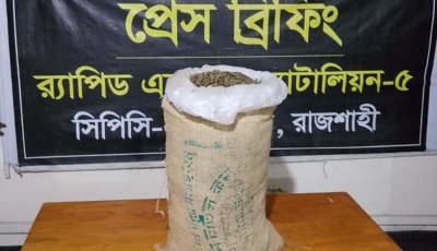 গুরুদাসপুরে সাড়ে ১১ কেজি গাজাসহ গ্রেফতার ১