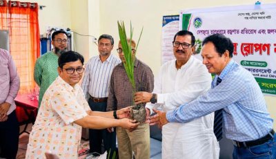 রাজশাহীতে এক হাজার তালগাছের চারা রোপণ কর্মসূচির উদ্বোধন