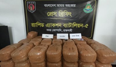 লবণ পরিবহনের আড়ালে ১২৬ কেজি গাঁজাসহ এক মাদক ব্যবসায়ী গ্রেফতার