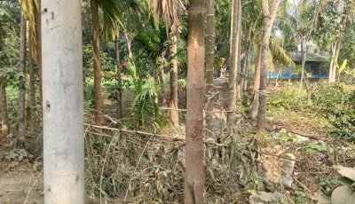 বাগাতিপাড়ায় আ’লীগ নেতার দখলে ভ্যানচালকের একমাত্র রাস্তা, ৯৯৯-এ অভিযোগেও মিলেনি সেবা