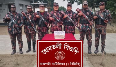 প্রেমতলিতে ৫ হাজার ভারতীয় ইলেকট্রিক রেজিস্টেন্স জব্দ