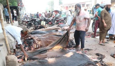 রাজশাহীতে গরুর চামড়া ২০০, ছাগলের ১০ টাকা