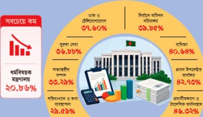 ২০২৫-২৬ অর্থবছরে ১০ মন্ত্রণালয়: এডিপির অর্ধেক বরাদ্দও খরচ হয়নি