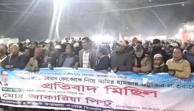 ঈশ্বরদীতে আমির হামজার বিরুদ্ধে বিএনপির বিক্ষোভ, কুশপুত্তলিকা দাহ