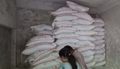 পুঠিয়ায় অননুমোদিতভাবে মজুদ ৩৩০ বস্তা সার জব্দ