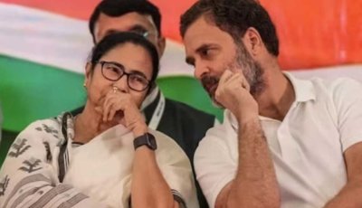 ১০০ আসনে ভোটচুরি! মমতার অভিযোগকে সমর্থন রাহুলের, ফোনে পাশে থাকার বার্তা
