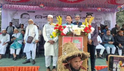 সাপাহারে ধানের শীষের পক্ষে নির্বাচনী জনসভা
