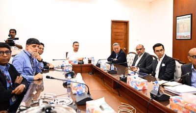গুরুত্বপূর্ণ সরকারি ভবনে সৌর প্যানেল বসানোর নির্দেশ প্রধানমন্ত্রীর