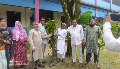 সাপাহারে বিএনপি নেতা আব্দুর রহিমের গাছের চারা বিতরণ