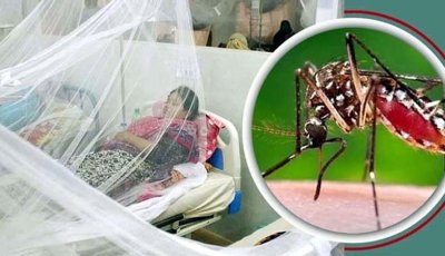রামেক হাসপাতালে ‘ডেঙ্গু শক সিন্ড্রোমে’ বাড়ছে মৃত্যু