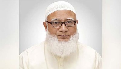 জামায়াত আমিরের উপদেষ্টার ‘পররাষ্ট্র মন্ত্রণালয়ে পদায়ন’ নিয়ে জটিলতা