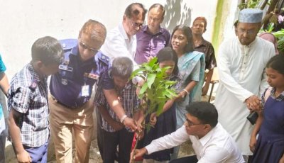 রাজশাহীতে সরকারি প্রাথমিক বিদ্যালয়ে বৃক্ষরোপণ কর্মসূচির উদ্বোধন