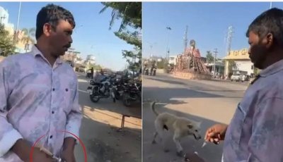 তেলেঙ্গানায় ভোটের বলি ৫০০ কুকুর, ‘প্রতিশ্রুতি রক্ষায়’ বিষ দিয়ে হত্যালীলা পঞ্চায়েত প্রধানের নেতৃত্বে!