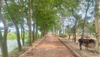 মোহনপুরে ২৫ কোটি টাকার উন্নয়নে বদলে যাবে গ্রামীণ যোগাযোগ