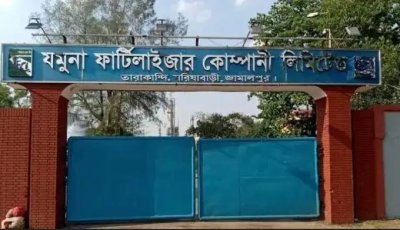 গ্যাস সংকটে চালু করা যাচ্ছে না বন্ধ হওয়া ৫ সার কারখানা