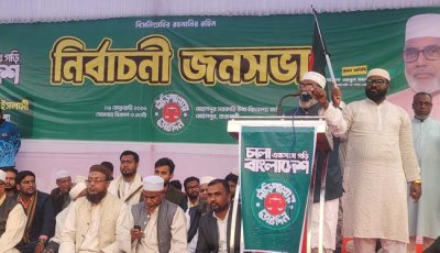 ন্যায় ও ইনসাফভিত্তিক দেশ পরিচালনা করতে দাঁড়িপাল্লায় ভোট চাই : আবুল কালাম আজাদ