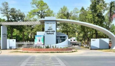 পদ্মায় গোসল গিয়ে হামলার শিকার রুয়েটের তিন শিক্ষার্থী