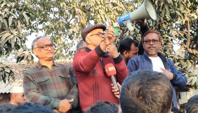 নিয়ামতপুরে ধানের শীষ প্রার্থীর পক্ষে মিছিল ও প্রচারণা