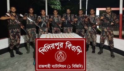রাজশাহী সীমান্তে ট্যাপেনট্রাডল ট্যাবলেট জব্দ