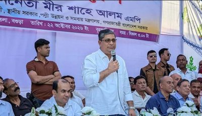 বট ও গুপ্ত বিএনপিতেও আছে: মীর শাহে আলম