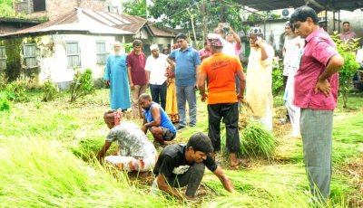 নাটোর পৌর এলাকায় পরিচ্ছন্নতা অভিযান ও মশক নিধন কার্যক্রম পরিদর্শনে পৌর প্রশাসক