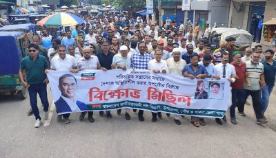 দেশকে অস্থিতিশীল করার অপচেষ্টার প্রতিবাদে পাবনায় বিএনপির বিক্ষোভ