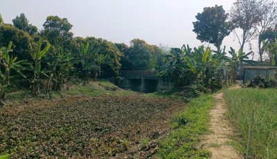 কালের বিবর্তনে হারিয়ে গেছে ২৭ কি.মি. খাল,চারঘাটে পরিবেশ ও জীবিকার জন্য উদ্বেগ