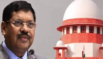 ’আবেগপ্রবণ হবেন না’, ককরোচ জনতা পার্টির ঢেউ পৌঁছাল সুপ্রিম কোর্টে