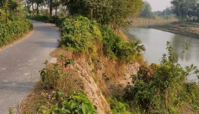 বদলগাছী ঝুকিপূর্ণ নদীর বাঁধ সংস্কারে কোন মাথাব্যাথা নেই কর্তৃপক্ষের